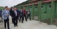 Sokak hayvanları yaşasın diye…