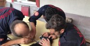 SOKAK Hayvanlarına Büyükşehir Desteği