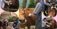 Sonbahar Dönemi Aşılama Kampanyaları Devam Ediyor