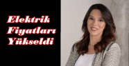 SPOT PİYASADA ELEKTRİK FİYATLARI %8,5 YÜKSELDİ