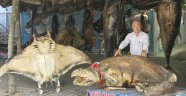 TAVUZ KUŞU VE KÖPEKBALIĞI BİR ARADA