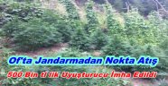 Trabzon Jandarma'dan Altın Vuruş