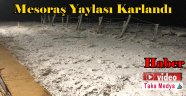 Trabzon Yaylaları Karlandı