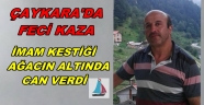 Trabzon'da kestiği ağacın altında kalan imam Hayatını Kaybetti