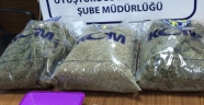 TRABZONDA UYUŞTURUCU OPERASYONU