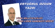 TÜRK MİLLİYETÇİLİĞİ FİKRİ LİDER HAREKETİ MİDİR?