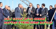 VALİ YAVUZ OF'TA İNCELEMELERDE BULUNDU