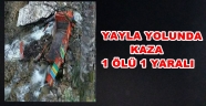 Yayla Yolunda Kaza 1 ölü 1 Yaralı