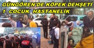 YENİ ACILAN COCUK PARKINDA KÖPEK DEHŞETİ