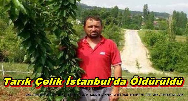 Tarık Çelik'i kim Neden Öldürdü