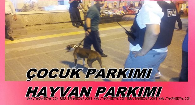 VATANDAŞ İSYAN ETTİ