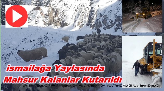 Yaylalarda Mahsur Kalanlara Kurtarma Operasyonu