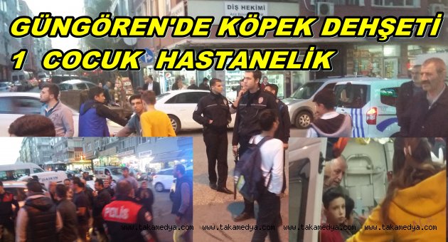 YENİ ACILAN COCUK PARKINDA KÖPEK DEHŞETİ